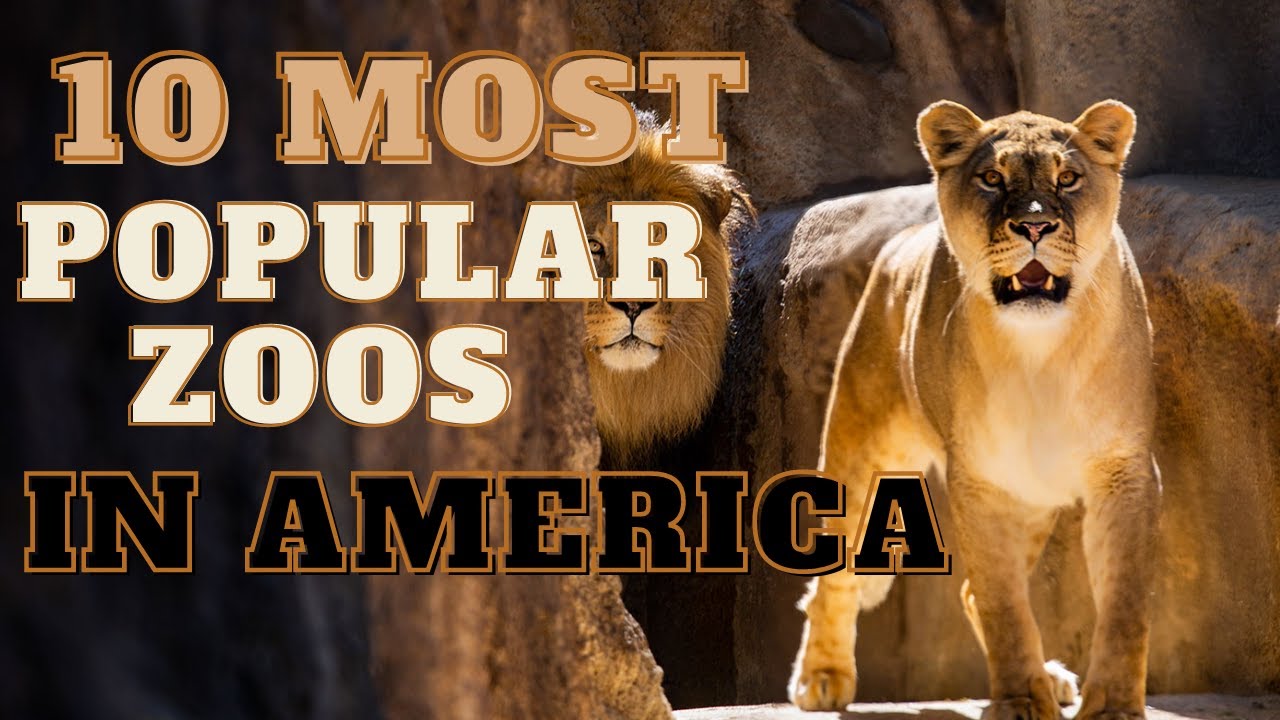 10 Most Popular Zoos in America