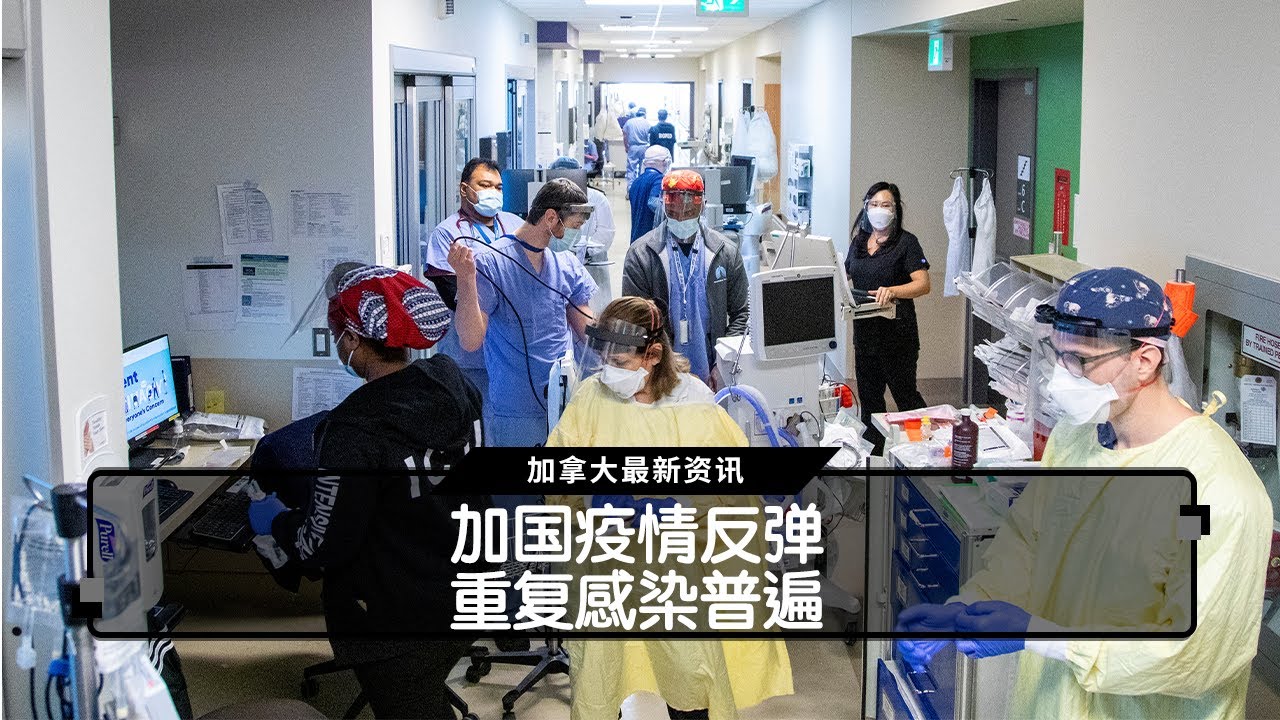 加国疫情反弹，重复感染普遍