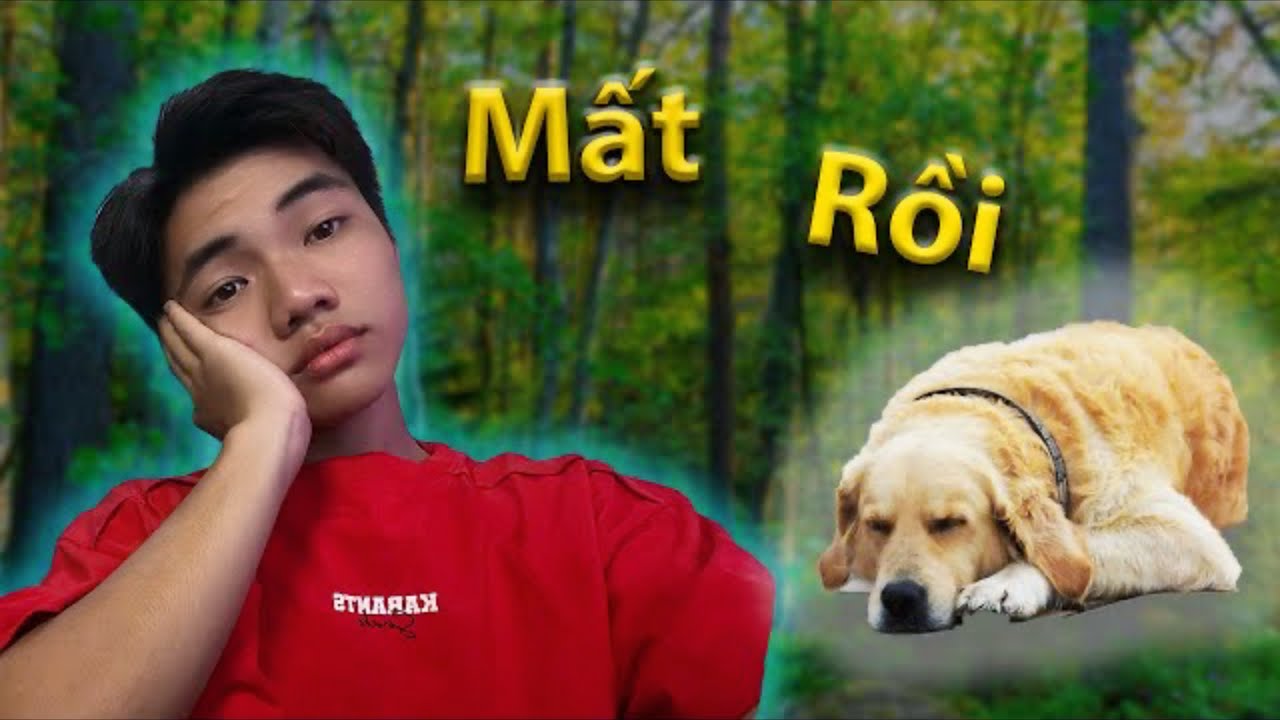 A Ngọc Tony TV l Mất Một Người Bạn Trung Th&agrave;nh 🐕