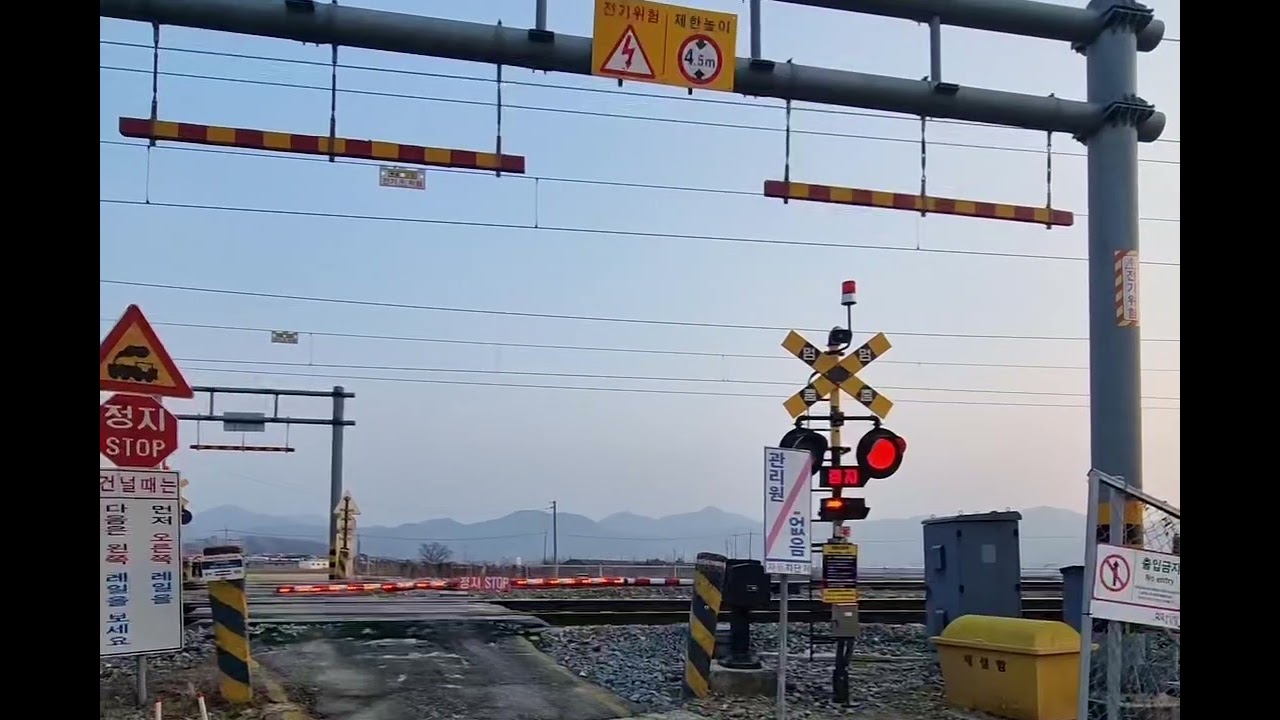충북선 단월건널목 무궁화호 #1762