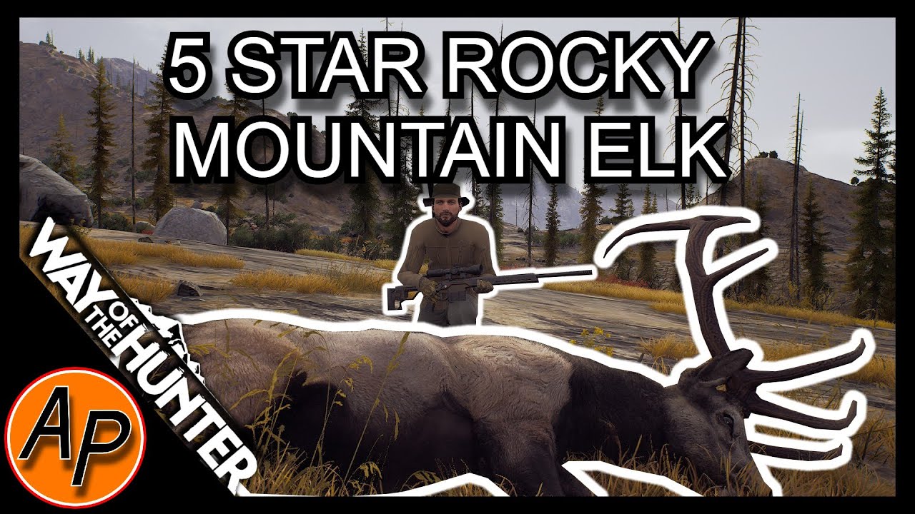 Hunting down FIVE star Rocky Mountain elk + more!! | Way of the hunter