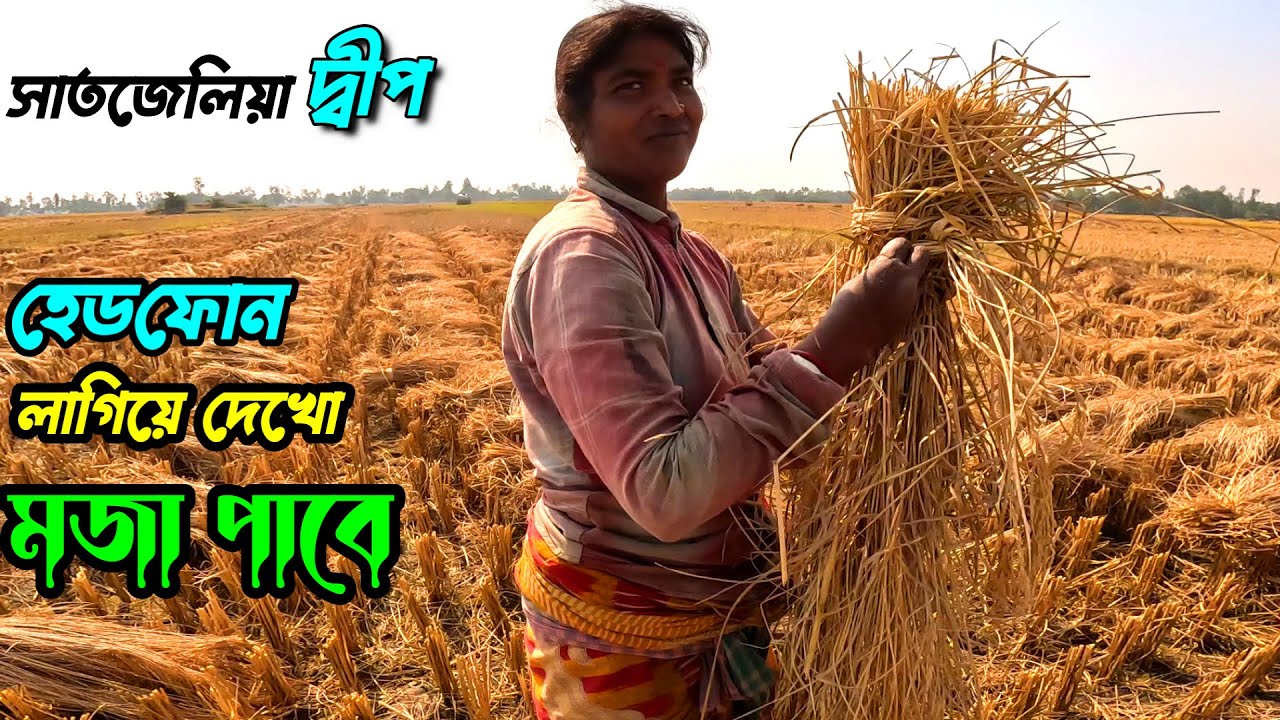 মাঠে-ঘাটে গায়ে-গতরে খেটে সংসার চালাতে হয়। অপূর্ব-অসাধারণ গ্রাম Satjelia | Sundarban village life