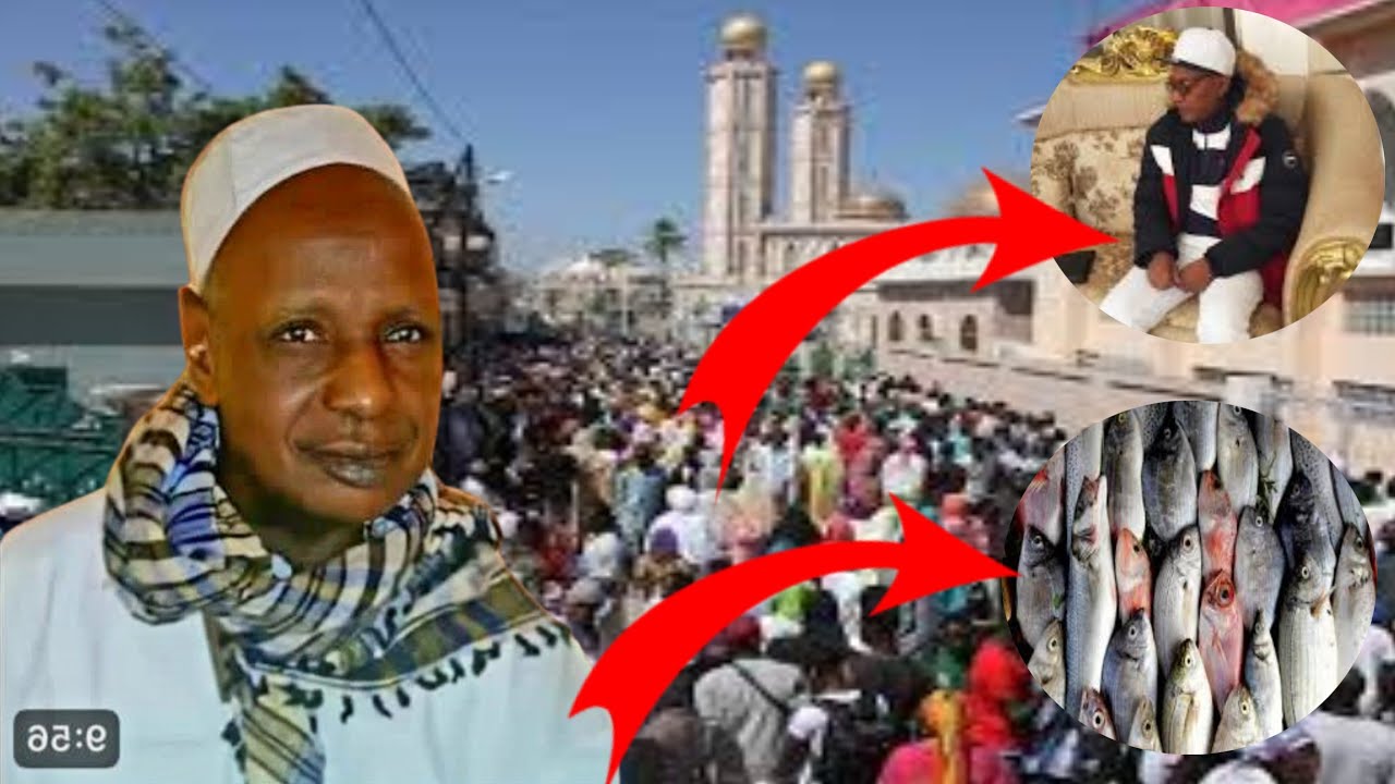 Thierno Amadou Tidiane Alpha ba Heɗɗo Ganndo Paama ko Tafsiir e Naamnde diine