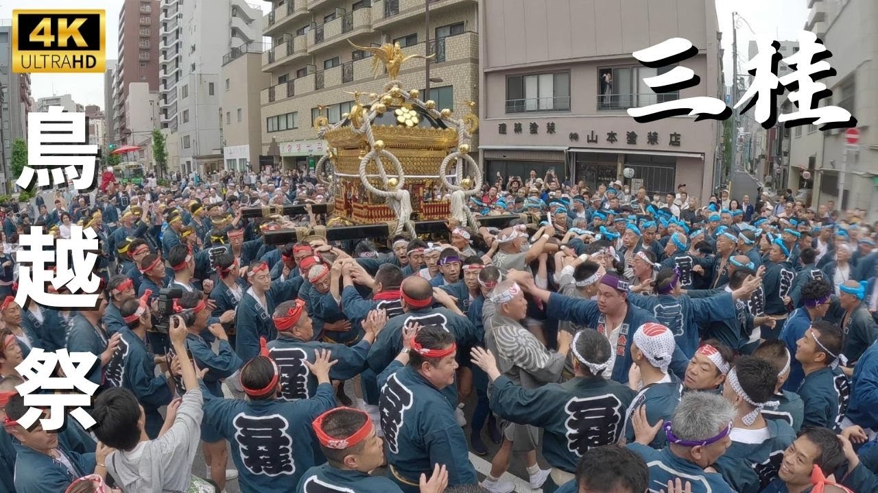【鳥越祭り】三桂の本社神輿渡御　～2024年～