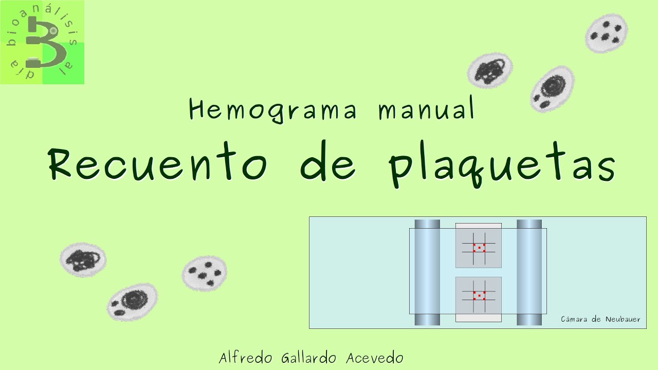 🟣Recuento manual de plaquetas, con todos los trucos