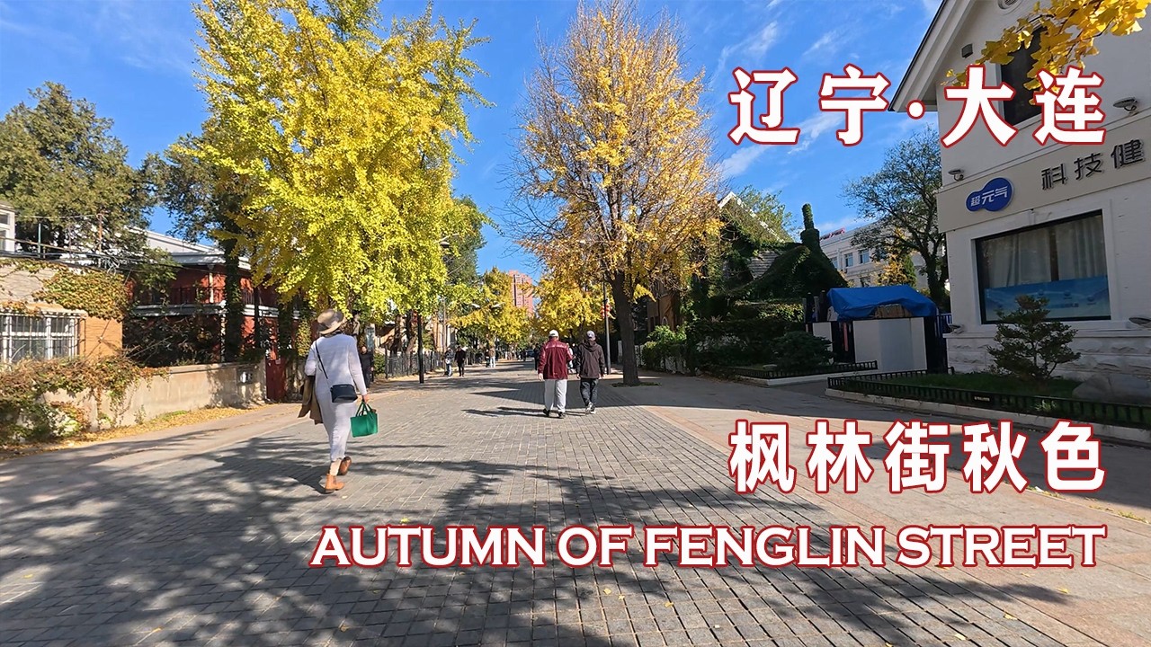 【街拍】(4K UHD) 漫步大连著名的枫林街，深秋的大连银杏赏叶期到了，行走七七街、枫林街、五五路 | Street View, Dalian, POV WALKING
