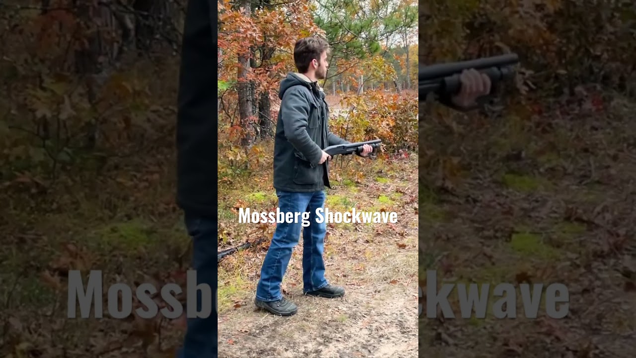 The recoil on the 