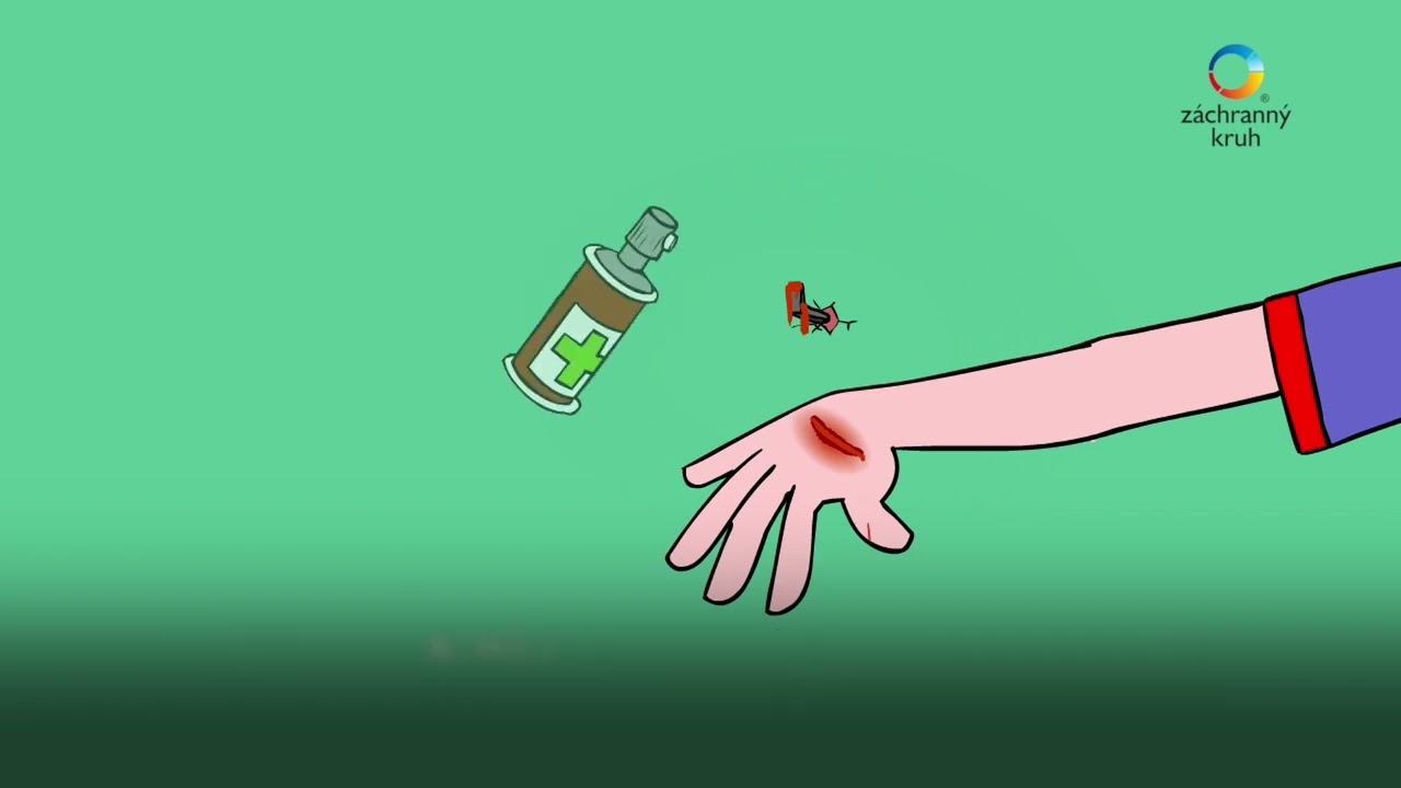 První pomoc pro všechny - Rány a poranění