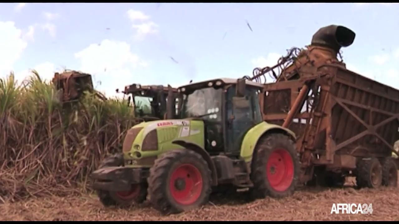 Burundi : vers une modernisation du secteur agricole qui emploie 90% de la population