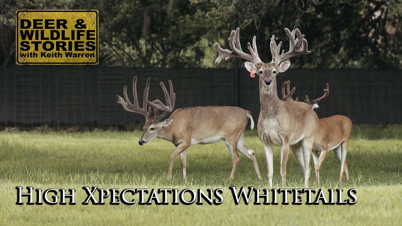 Deer & Wildlife Stories with Keith Warren | High Xpectations Whitetails | Deer Farming