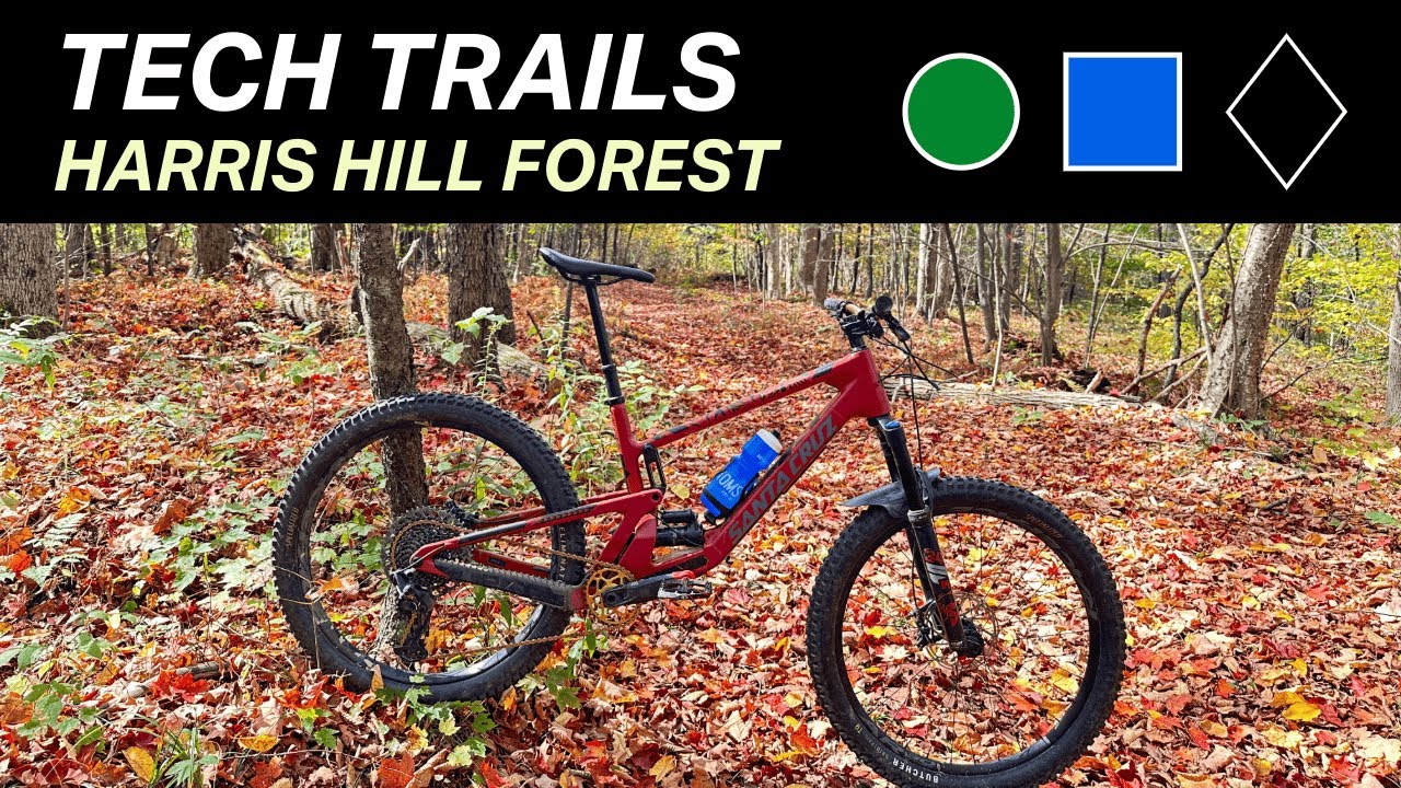 Just Try Not To Get Lost At Harris Hill State Forest