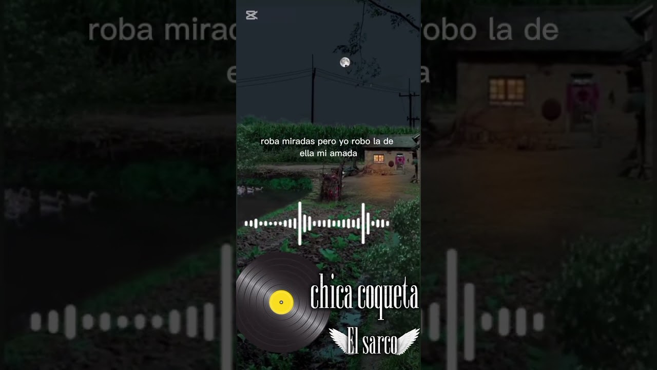 El sarco -Chica coqueta 