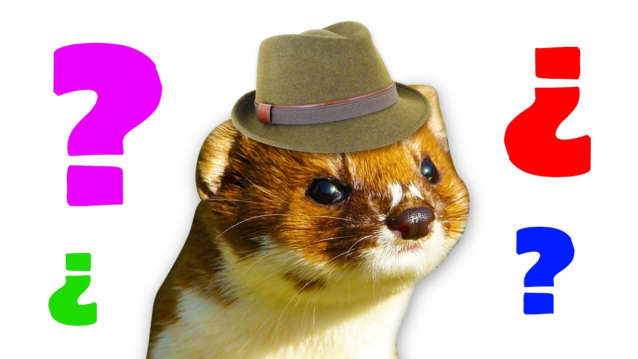 Kevin MacLeod - Scheming Weasel - Piano Tutorial