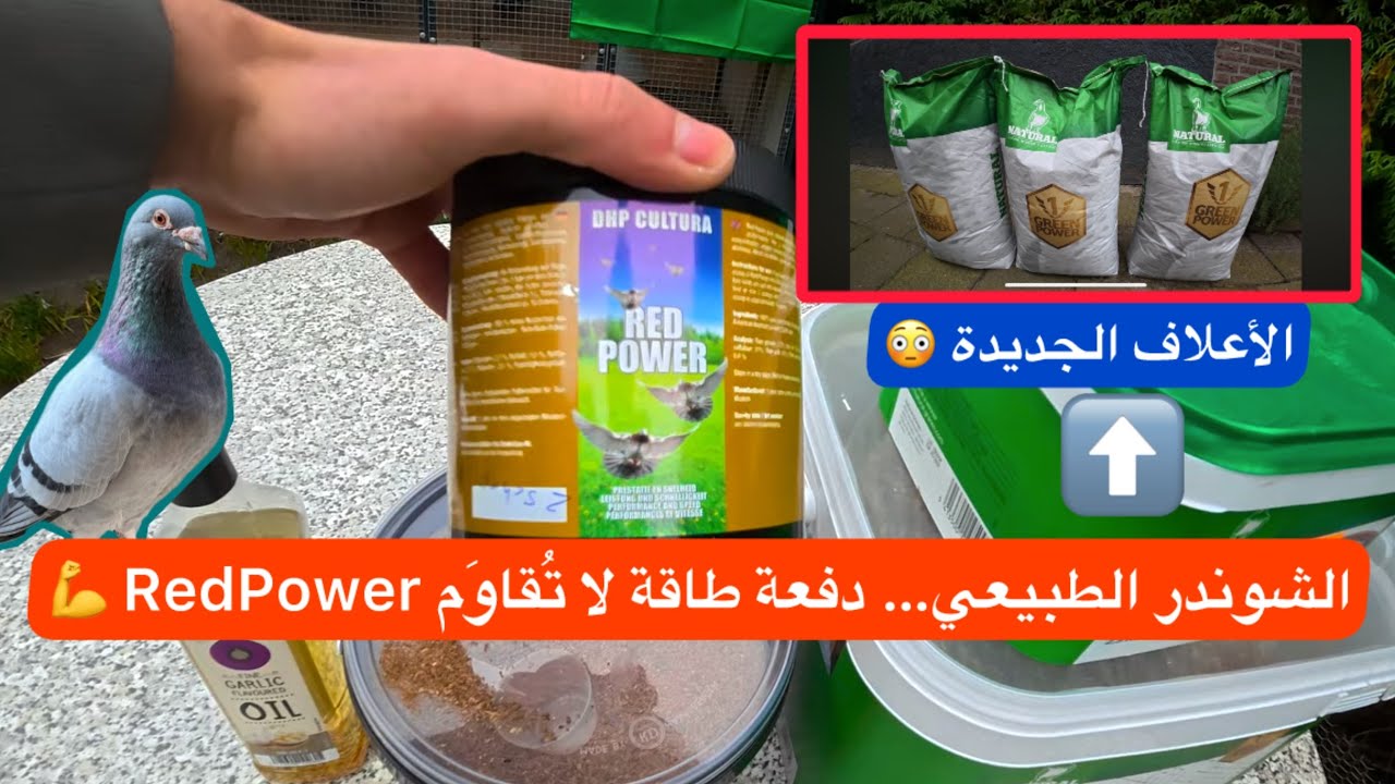 🏆تجربة أعلاف Natural الجديدة… النتائج تتكلم الحمام الزاجل 