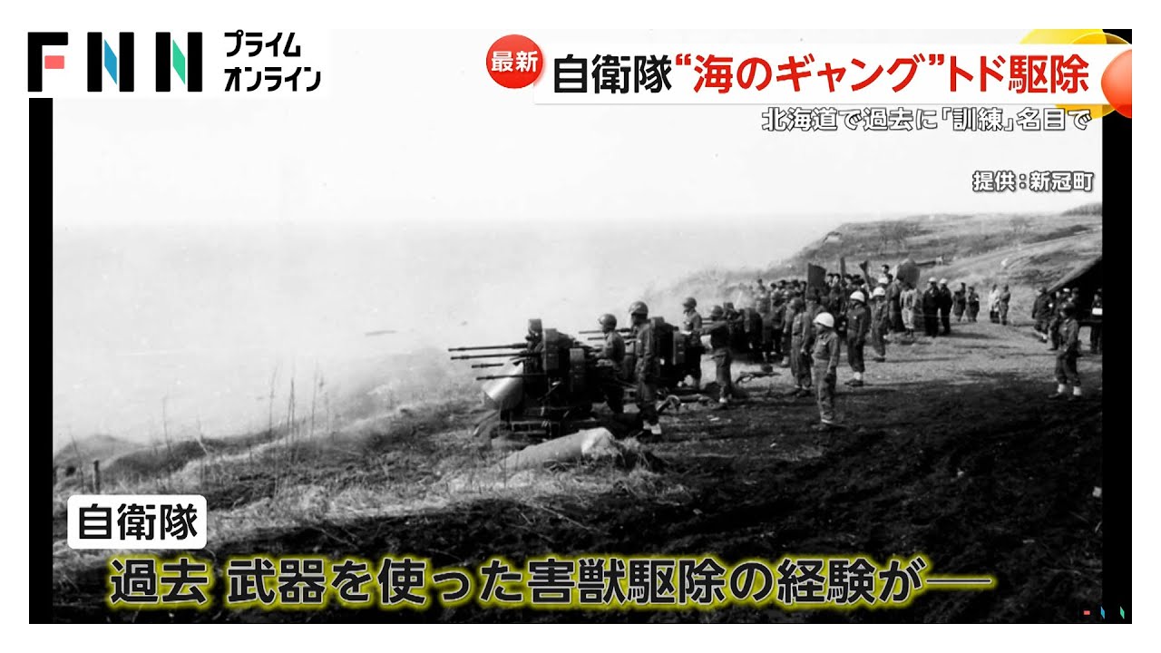 過去には機関砲でトド駆除も　最悪“クマ災害”自衛隊出動の秋田・鹿角市…2016年には4人殺害の凶暴熊“スーパーK”世間を震撼