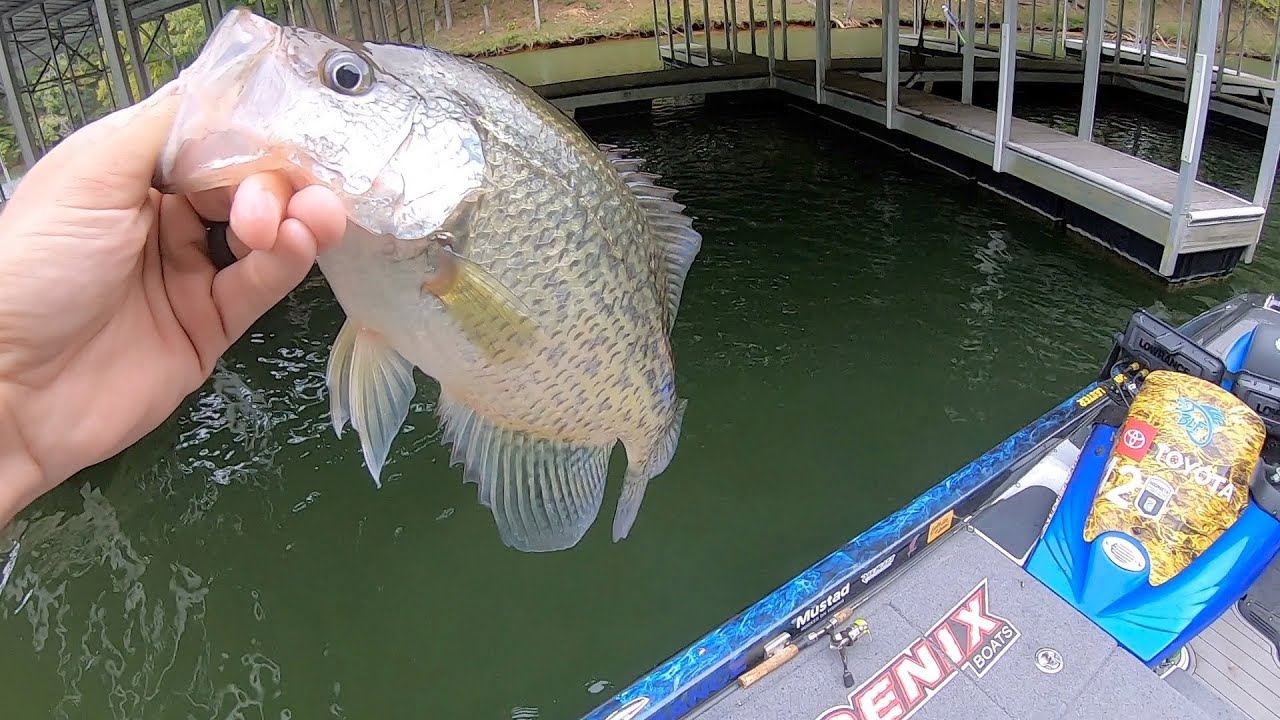 Catching SLABS Around Boat DOCKS! FALL Crappie Fishing!