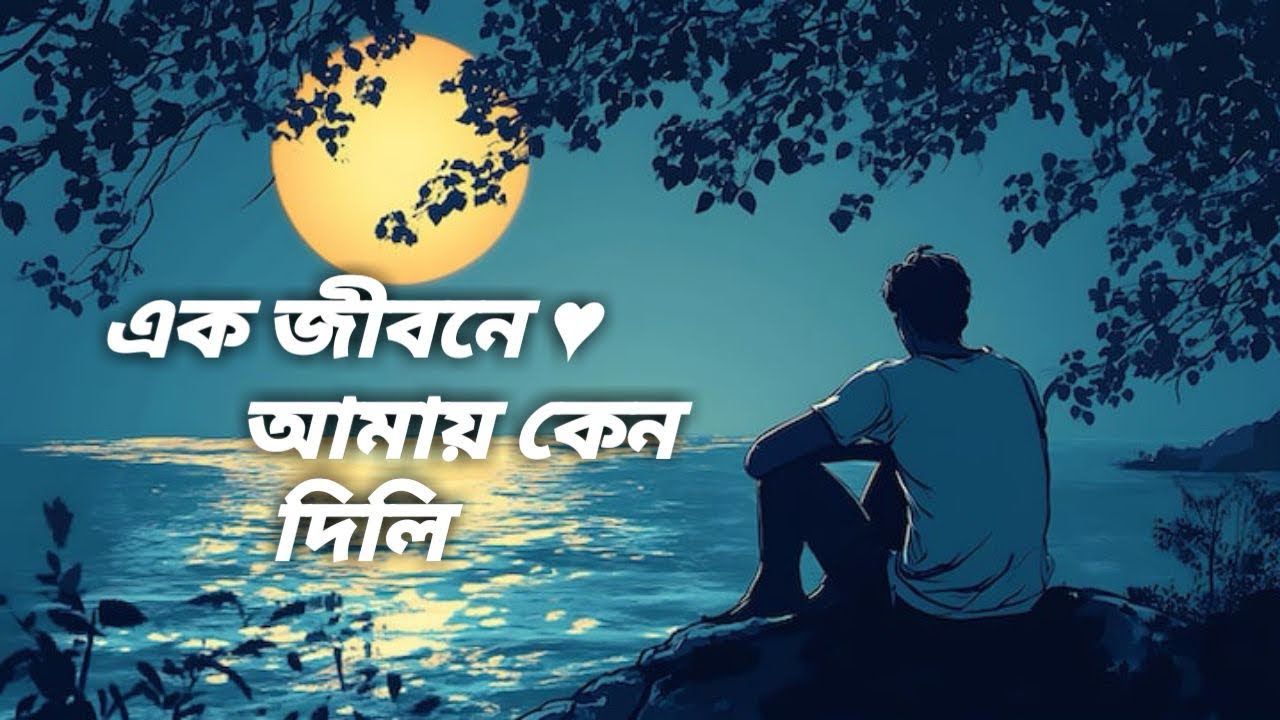 Bisher Churi । এক জীবনে এত দুঃখ আমায় কেন দিলি । [ Solwed+Reverb ] Bangla Lofi song 🎧 / 