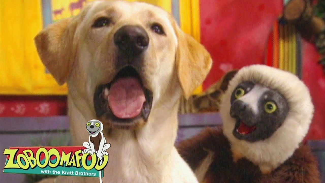 Zoboo Finds a Friend! Amazing Animal Buddies! | Zoboomafoo - WildBrain | Full Episode Compilation