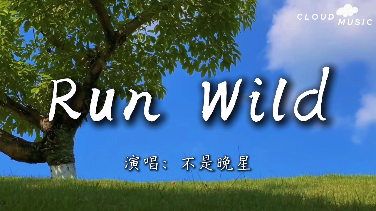 【Run Wild（向风而野）- 不是晚星】｜ I go wild 我开始狂野 Feel the high 感受高飞 No goodbyes 没有告别（动态歌词）