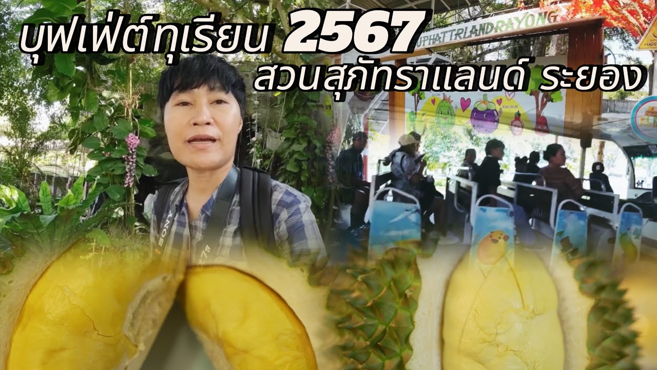 บุฟเฟ่ต์ทุเรียน ปี 2567 สวนสุภัทราแลนด์ ระยอง #บุฟเฟ่ต์ทุเรียนปี2567 #บุฟเฟ่ต์ทุเรียนสวนสุภัทราแลนด์