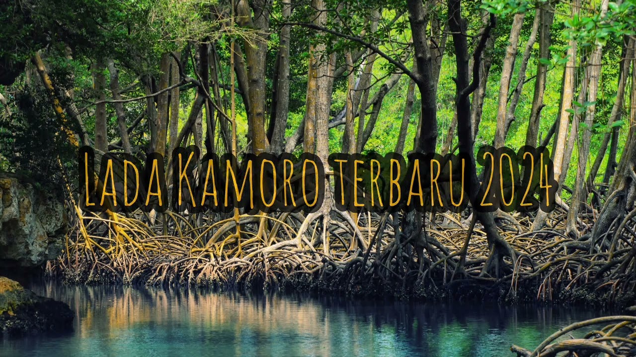 lada Kamoro terbaru 2024 Waye mare voc.jhon m