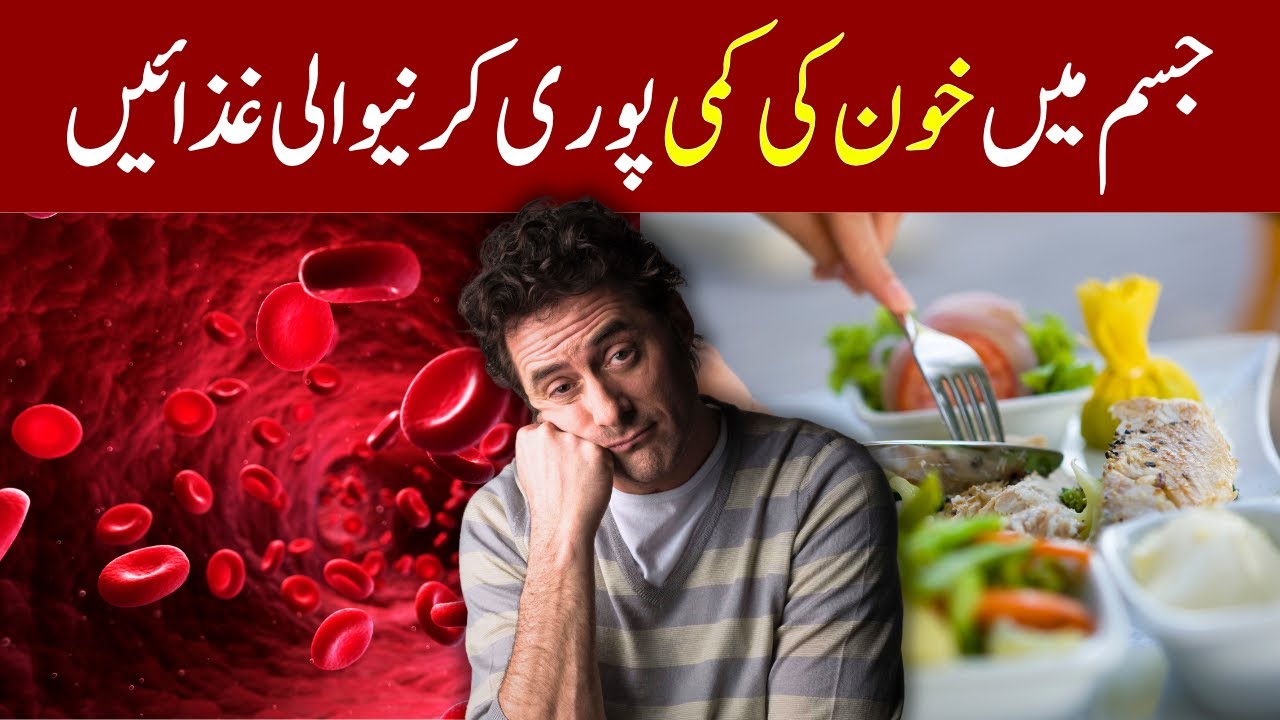 Foods that help increase blood in the body