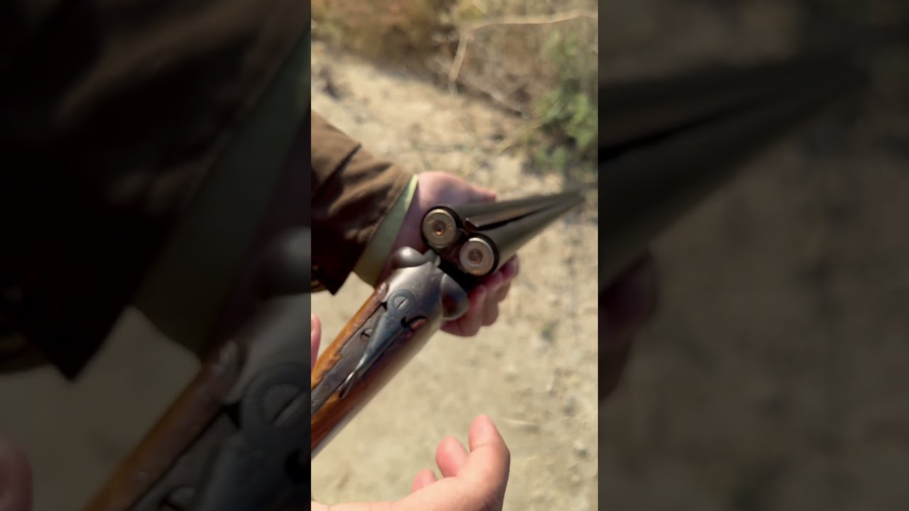 Double barrel shotgun #shotgun #hunting #oldisgold