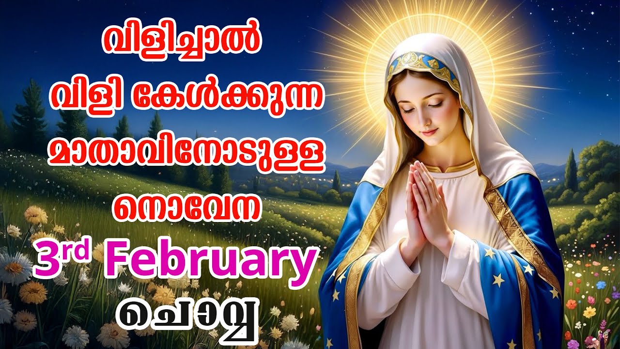 3rd February 2026 | വിളിച്ചാൽ വിളി കേൾക്കുന്ന മാതാവിന്റെ നൊവേന  | VachanamTV #novenaprayer #novena
