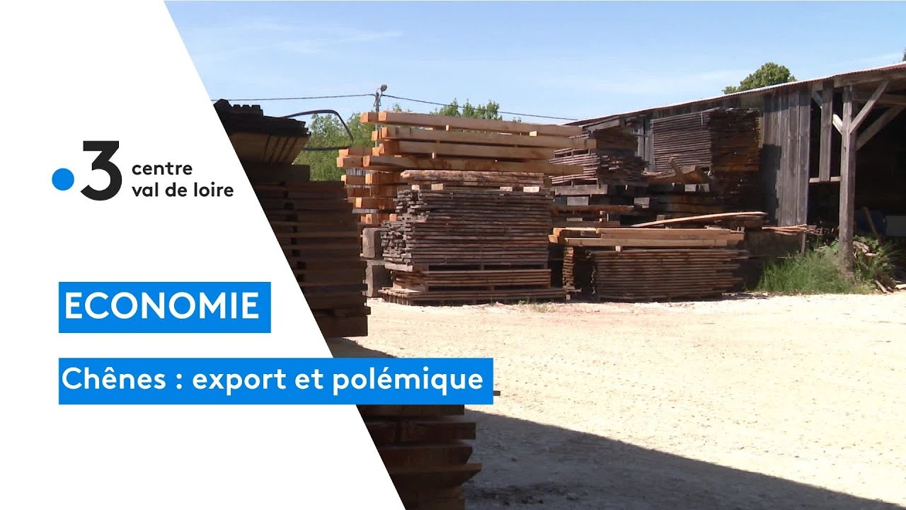 Centre-Val de Loire : l'export du chêne vers l'Asie fait polémique, reportage dans l'Indre