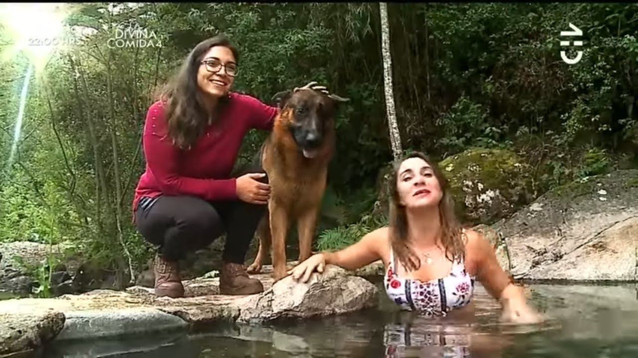 Sabingo | Capítulo 29 de diciembre