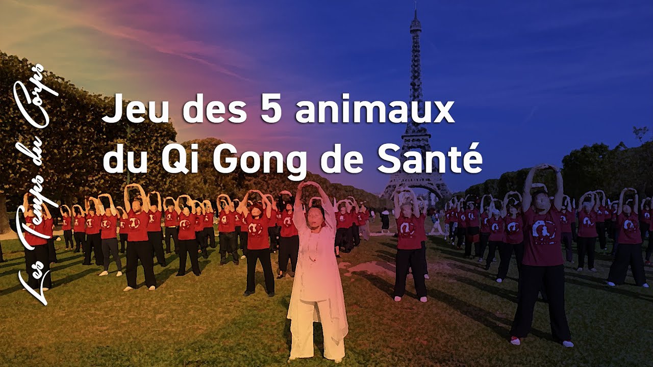 Démonstration du jeu des 5 animaux du Qi Gong de Santé