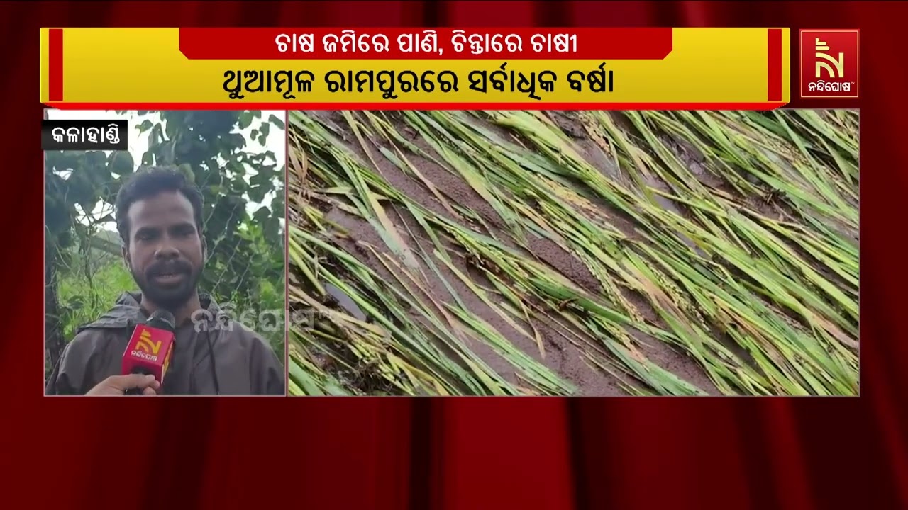 Heavy Rain Washes Away Crops | Farmers in Odisha Face Loss | Nandighosha TV