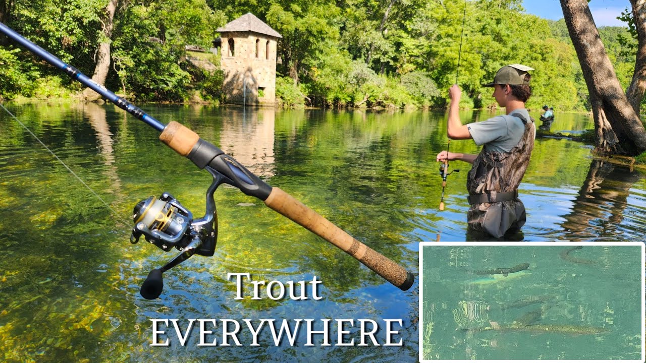 TROUT FISHING Trip in BENNET SPRING State Park | Never saw So Many Trout