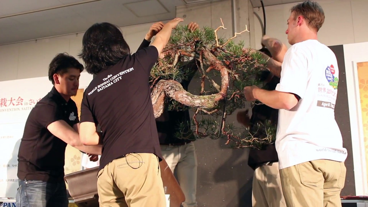 Shinji Suzuki's demo at the WBC