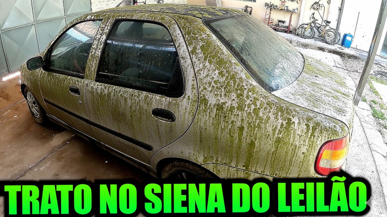 TRATO NO SIENA DE R$ 3.000,00 DO LEIL&Atilde;O