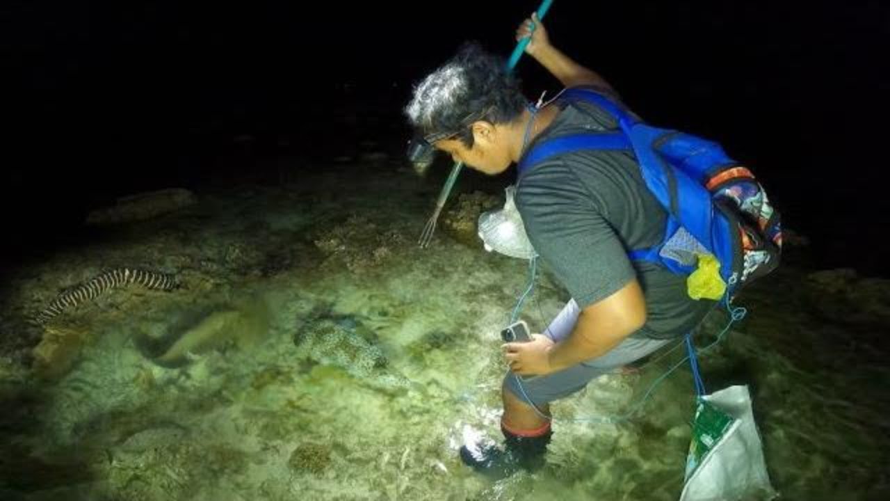 Menombak ikan malam hari nyasar ke spot idaman banyak ikan mahal bingung mau nombak yang mana