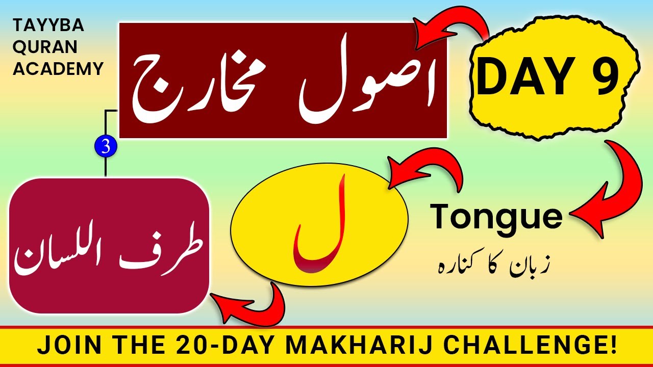 Usool e Makharij Day-9 | Makharij al huroof tajweed | Huroof e Tarafiyyah/Zalaqiyyah LAAM طرف اللسان