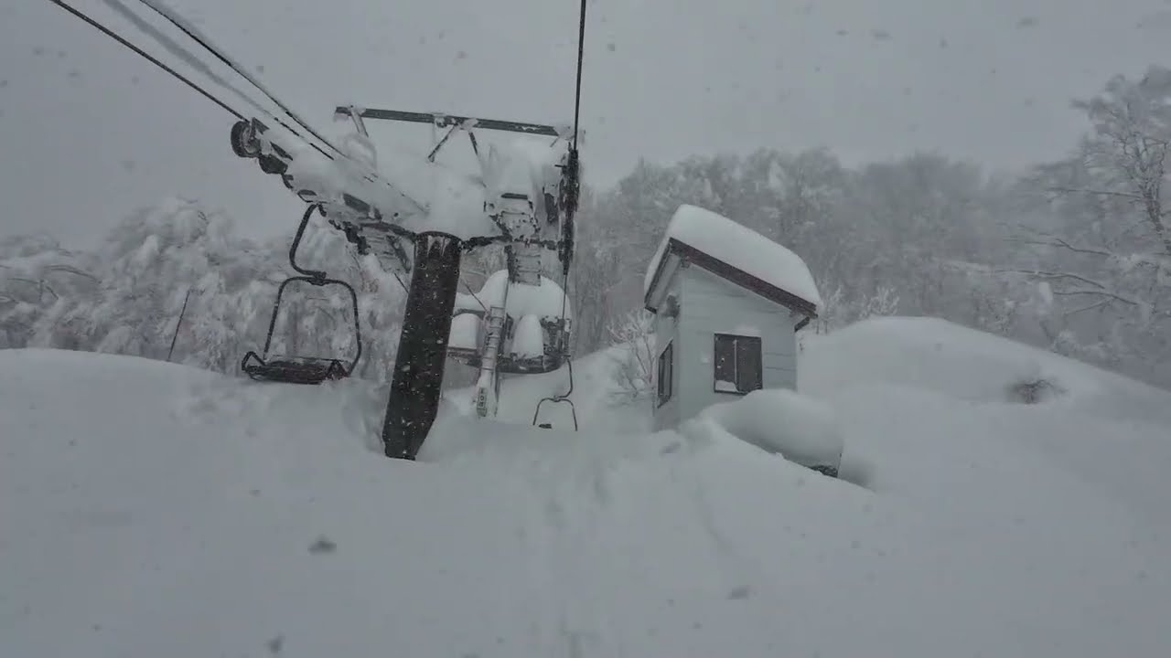 Hakuba Japan epic powder 最強最長寒波の白馬コルチナパウダールーティーン