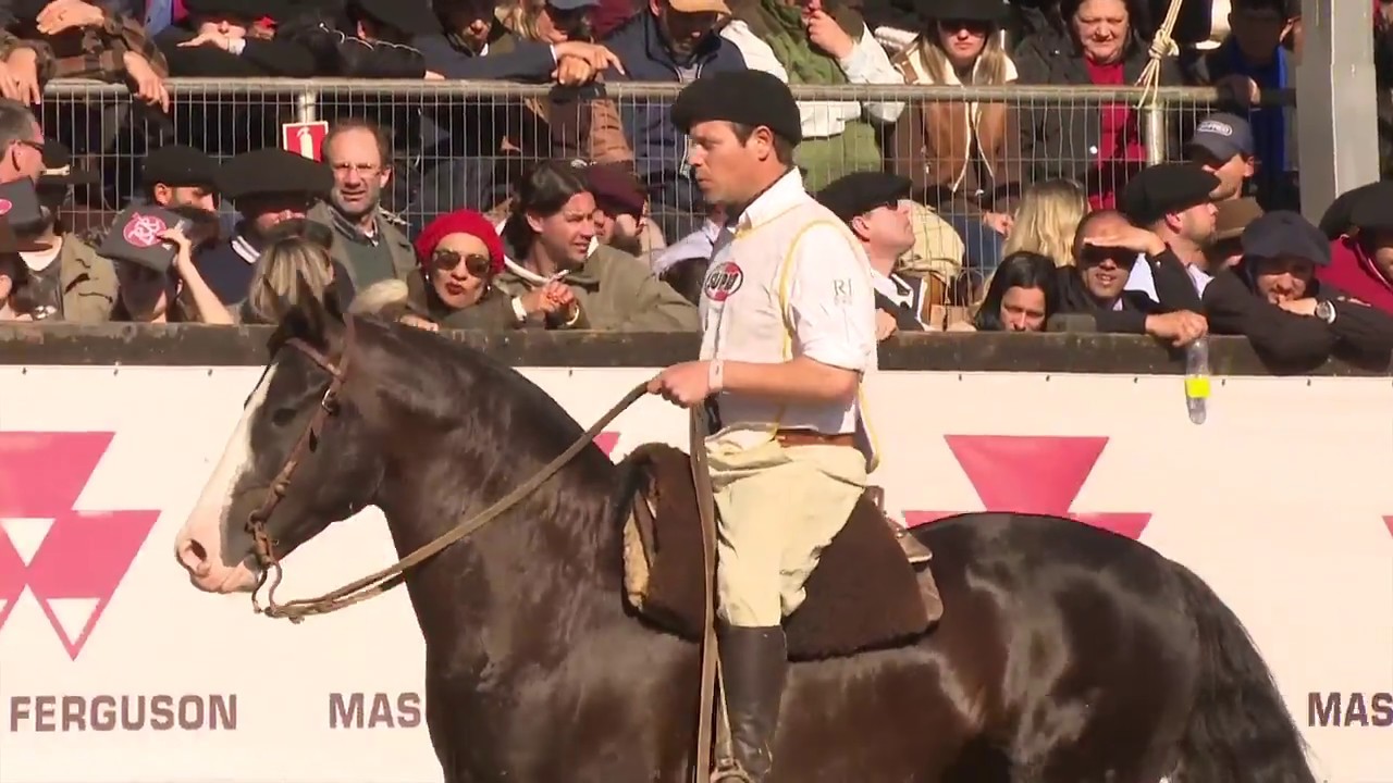 Colibri Matrero - Melhor Bayard Sarmento Machos no Freio de Ouro 2018
