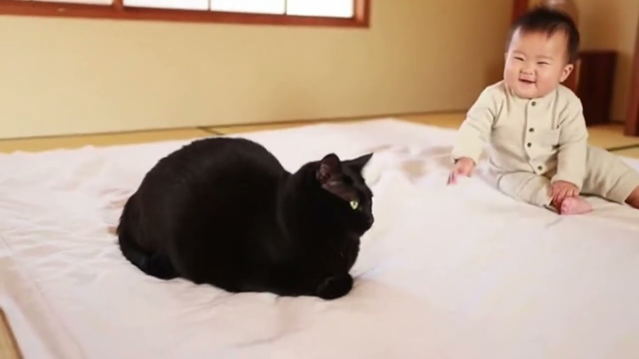 なでる手が小さすぎて&hellip;猫が&ldquo;受け止め方&rdquo;を調整するの尊い