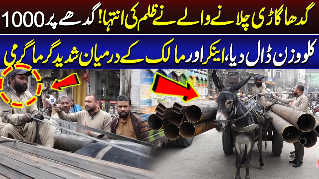Gadha Gari Chalany Waly Or Anchor Kay Darmyan Shadeed Behas | Lahore Puchta Hai | Lahore Rang