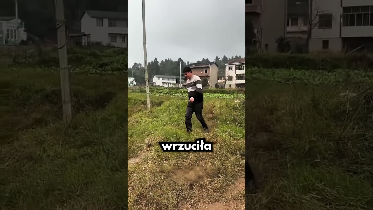 Wrzucili Mięso Do Siatki I Wydarzyło Się TO!🤯