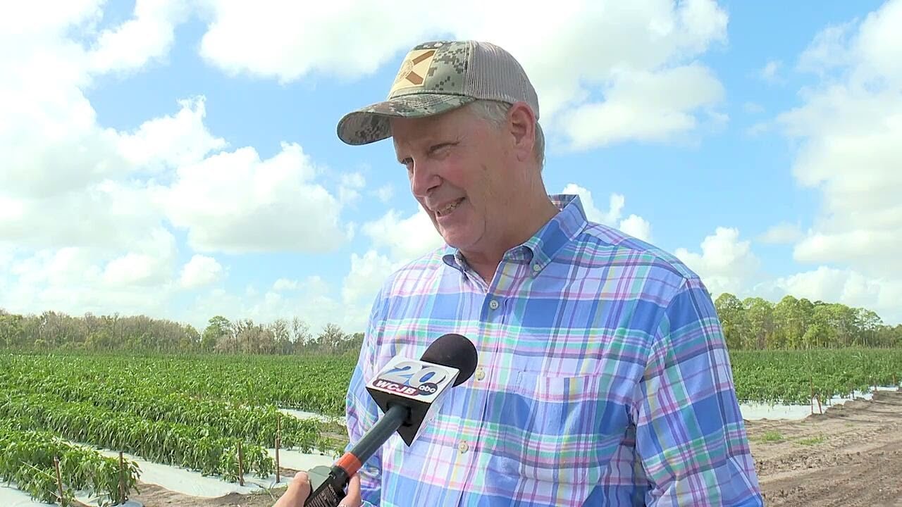 North Central Florida farmers showcase farm-to-store journey amid growing challenges