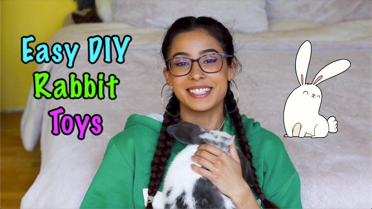 3 Easy DIY Rabbit Toys for Your Bunny