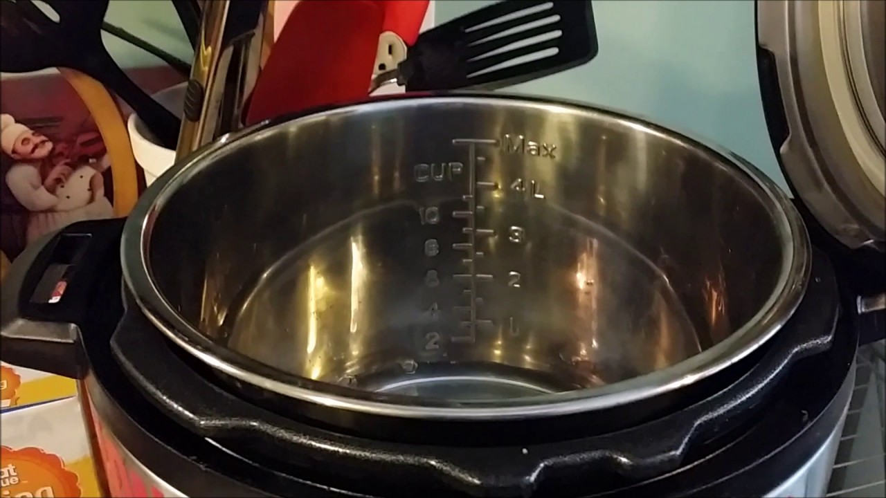 Instant Pot Basics and Water Test