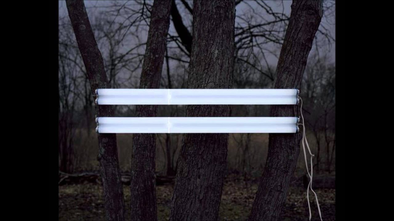 Burnt Friedman - En Bu