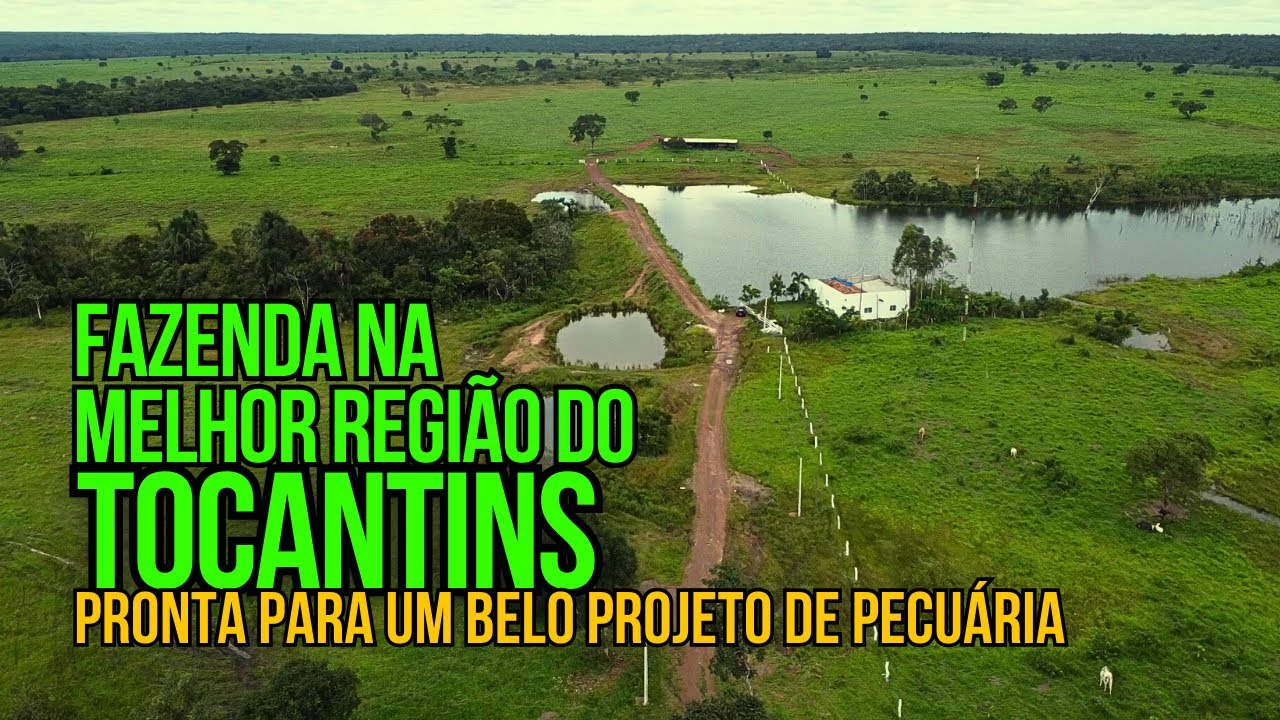 FAZENDA DE 276 ALQUEIRES À VENDA NO TOCANTINS PRONTA PARA PECUÁRIA