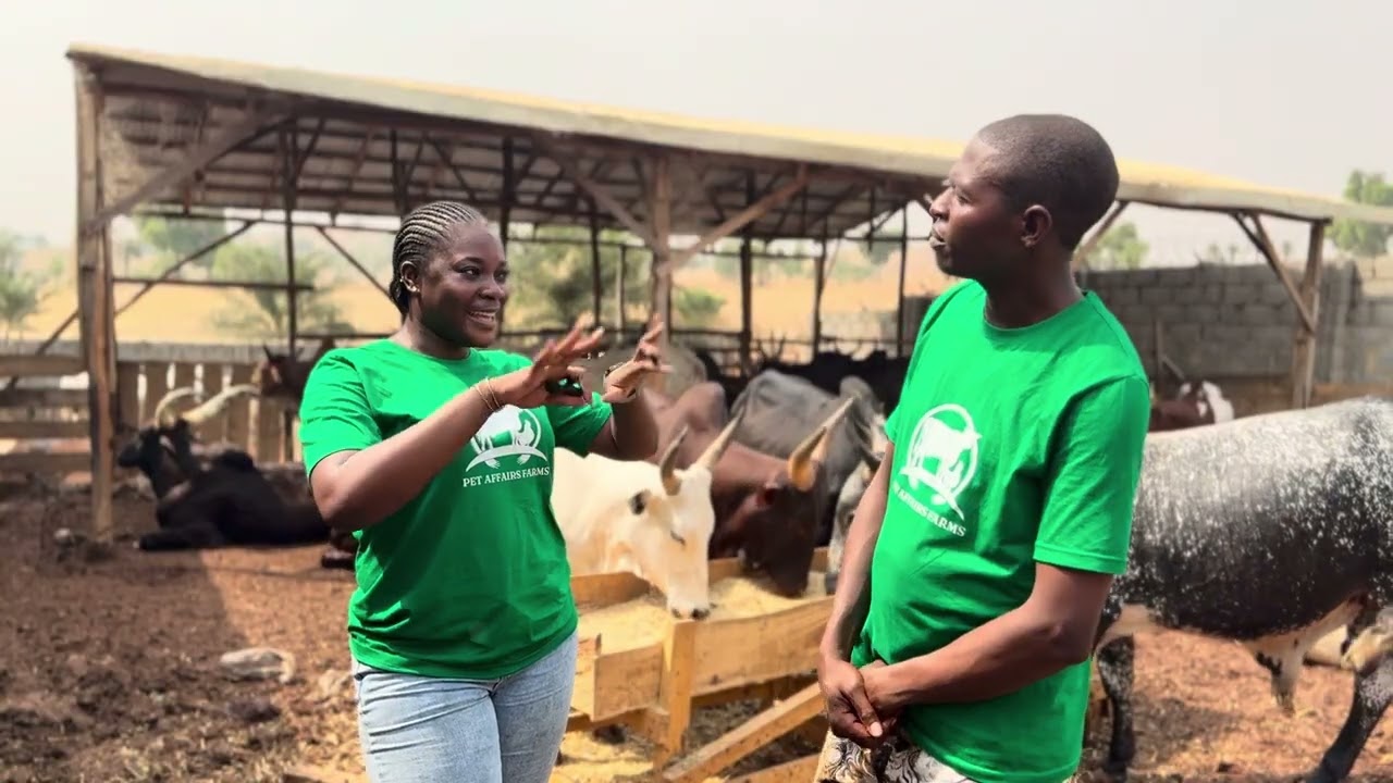 A Day on the Farm | Inside Pet Affairs Farms