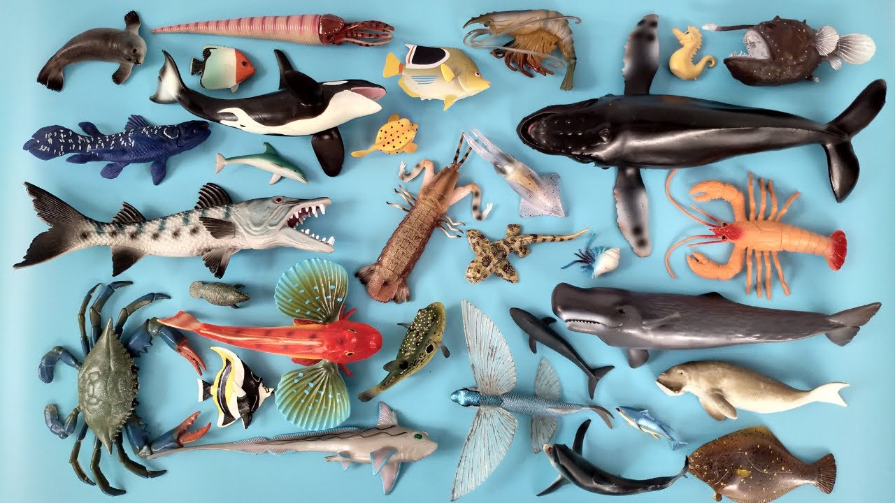 Hewan Laut Paus Orca Penyu Pinguin Lobster, Hiu Hantu, Ikan Blue Tang, Ikan Kepe Kepe, Ikan Box