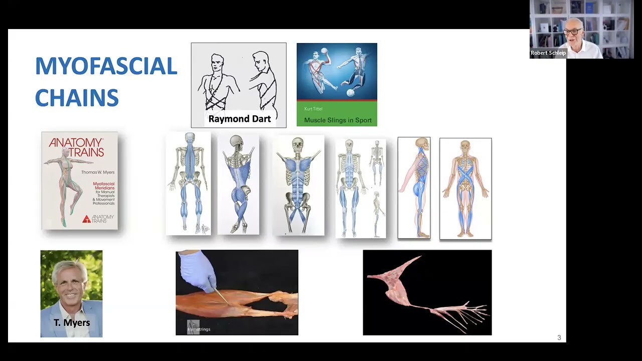 Dr.  Robert Schleip-“Beyond Layers and Levers: New Perspectives on Fascia and Manual Therapy”